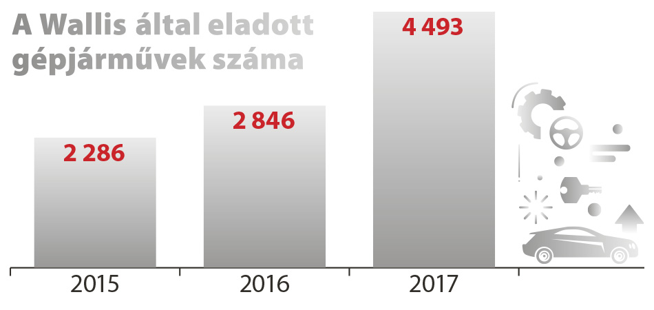 wallis-infograf